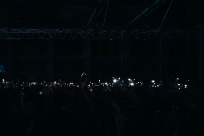 Casino King Crab Application mobile